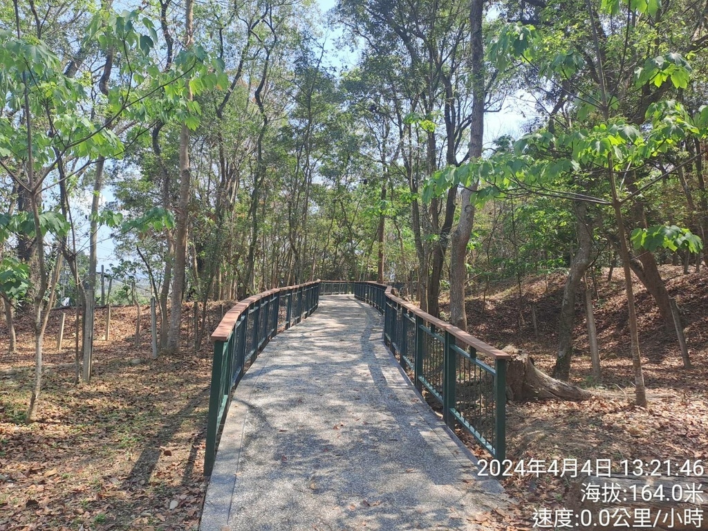 雲林古坑荷苞山桐花公園及荷苞山步道