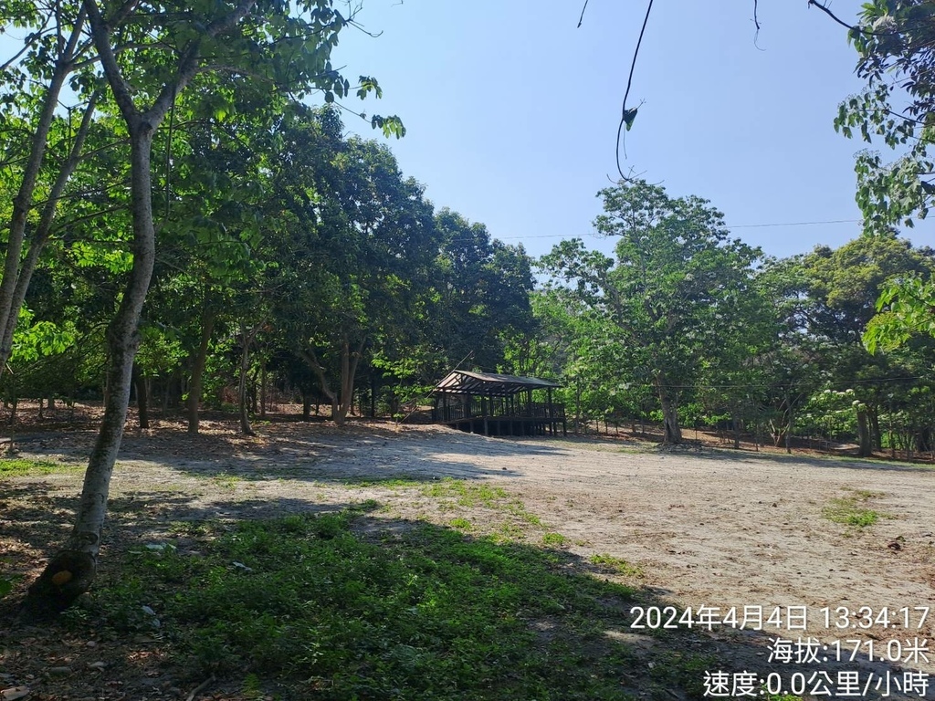 雲林古坑荷苞山桐花公園及荷苞山步道