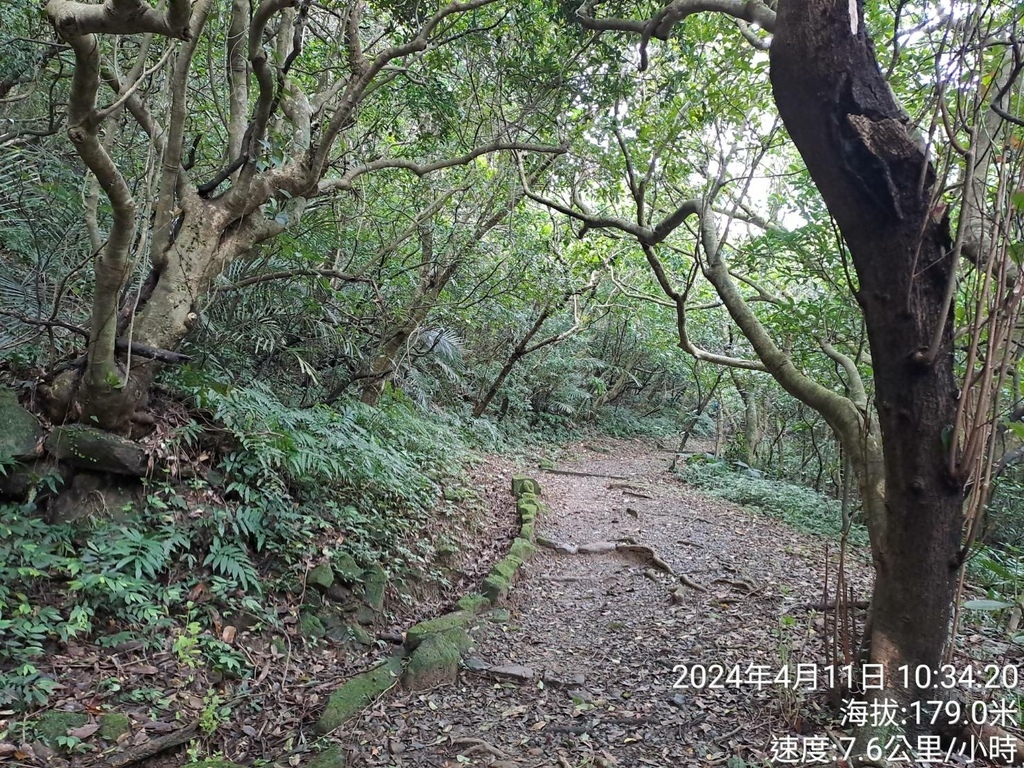 基隆海興步道-軟腳蝦健行隊基隆一日遊-3