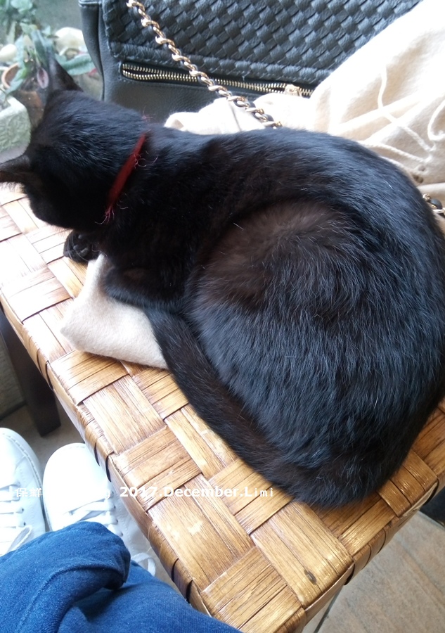 DSC_7258.JPG DSC_7258.JPG