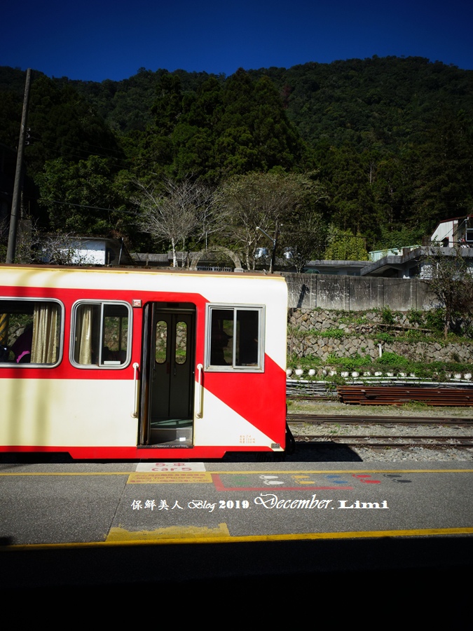 【鐵道之旅】嘉義阿里山小火車_從平地(嘉義)到高山(奮起湖),一路風光慢活的體驗