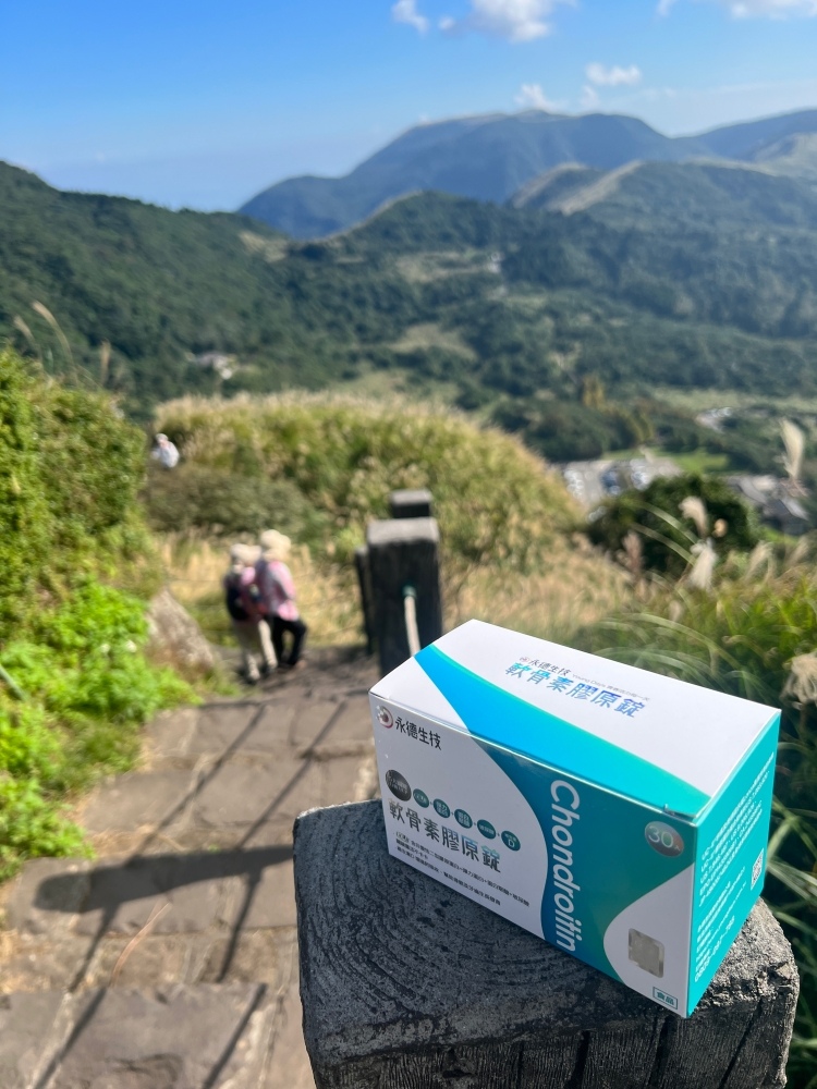 【日常保養】順行人生不卡卡,「永德生技 軟骨素膠原錠」給你靈 試用