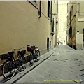 Florence_0205-13.jpg