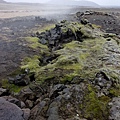 Myvatn_0505-008