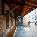P1110133.jpg