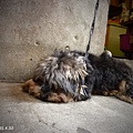 P1110276.jpg