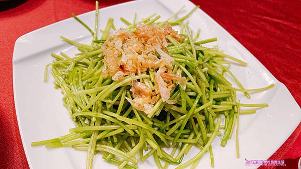 IMG_0908.jpg IMG_0908.jpg