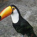 DSCF7255.JPG