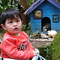 DSCF7129.JPG