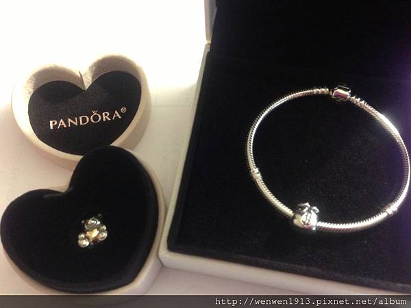 PANDORA 限量版小熊+錢袋+軟鍊一組為6500元