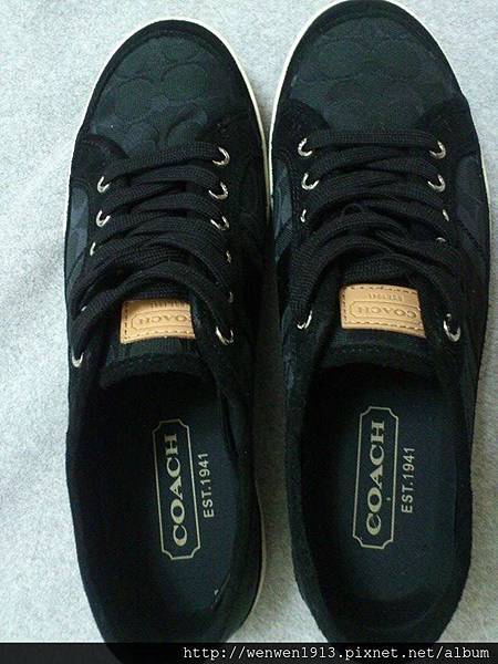 Coach黑色微反光c休閒鞋 尺寸: US 11D/EUR 44.5 鞋底 29公分