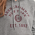 2015-10-02 22_53_18-Womens Embroidered Logo Graphic Hoodie _ Womens Tops _ Abercrombie.com.png