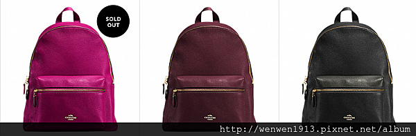 2016-08-10 14_51_55-Bags - WOMEN - Coach Outlet Official Site.png