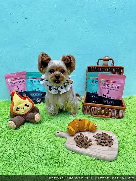 《關健時刻、漢方食補》養生大補帖，挑食的毛小孩超推薦，吃零食