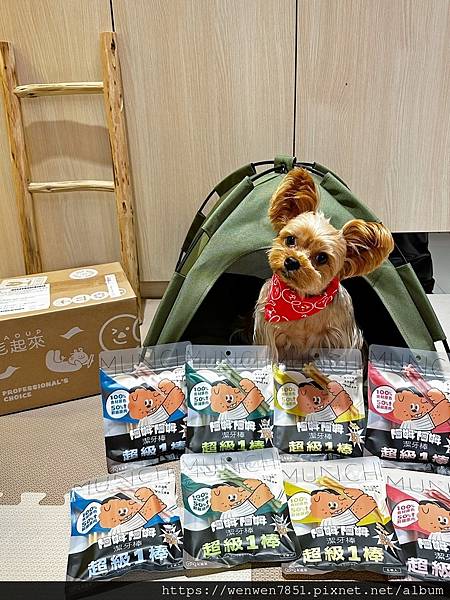 《毛起來MAOUP》潔牙棒推薦，阿姆阿姆潔牙棒，幫助潔牙兼補