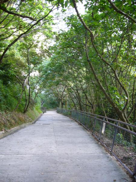 後花園