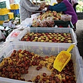 20150502溫莎花園+合歡東峰-50.JPG