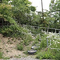 20150502溫莎花園+合歡東峰-56.JPG