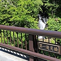 20150709定山溪-21.JPG