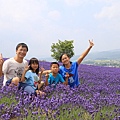 20150714日之出公園+富田農場-01.JPG