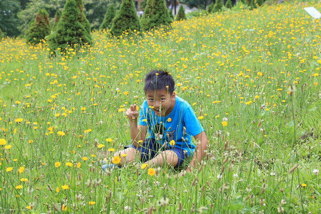 20150714日之出公園+富田農場-07.JPG