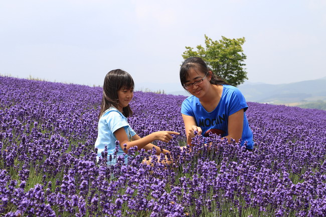 20150714日之出公園+富田農場-12.JPG