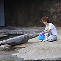 20150716旭山動物園-11.JPG