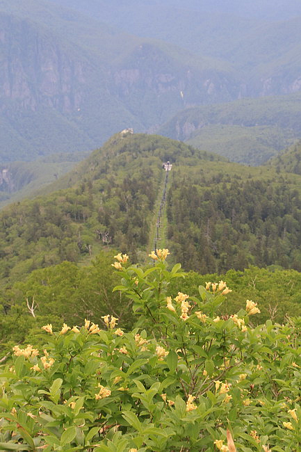 20150718層雲峽，黑岳-069.JPG