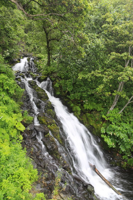 20150722-知床世界遺產中心、川湯、硫磺山、摩周湖、屈斜路湖-27.JPG