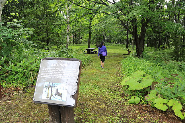 20150722-知床世界遺產中心、川湯、硫磺山、摩周湖、屈斜路湖-40.JPG