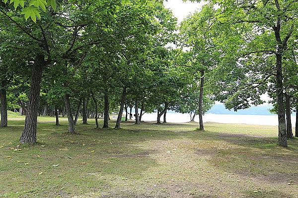 20150723屈斜路湖和琴半島、砂湯、阿寒湖-55.JPG