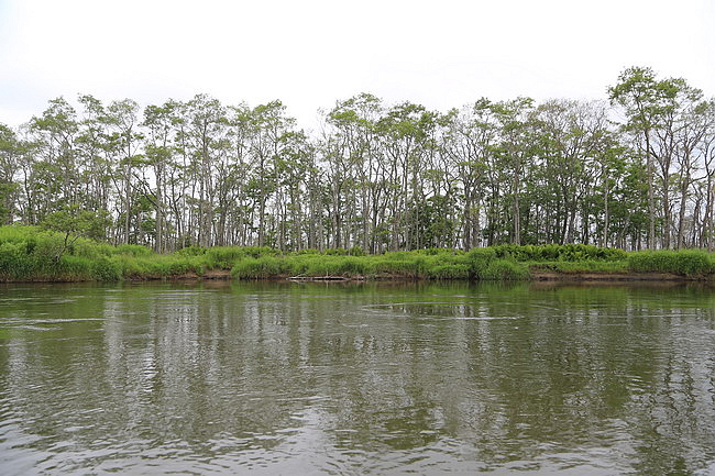 20150724達古武湖獨木舟濕原之旅、丹頂鶴公園、幣舞橋-035.JPG