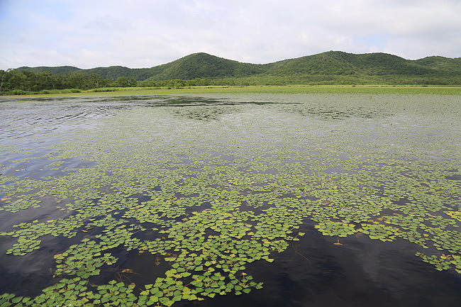 20150724達古武湖獨木舟濕原之旅、丹頂鶴公園、幣舞橋-040.JPG