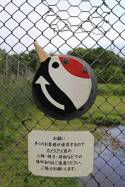 20150724達古武湖獨木舟濕原之旅、丹頂鶴公園、幣舞橋-067.JPG