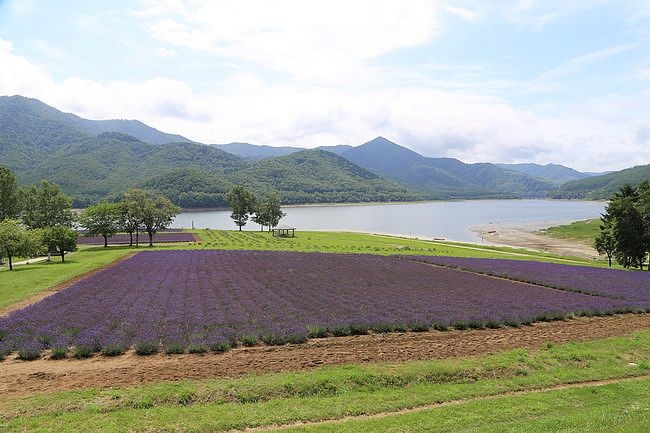 20150727金山湖、山部自然公園太陽的里、起司工房、果子工房、採櫻桃-027.JPG