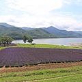 20150727金山湖、山部自然公園太陽的里、起司工房、果子工房、採櫻桃-027.JPG