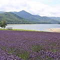 20150727金山湖、山部自然公園太陽的里、起司工房、果子工房、採櫻桃-028.JPG