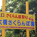 20150727金山湖、山部自然公園太陽的里、起司工房、果子工房、採櫻桃-072.JPG