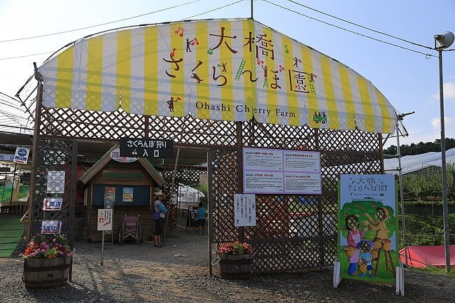 20150727金山湖、山部自然公園太陽的里、起司工房、果子工房、採櫻桃-073.JPG