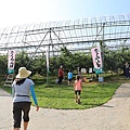 20150727金山湖、山部自然公園太陽的里、起司工房、果子工房、採櫻桃-078.JPG