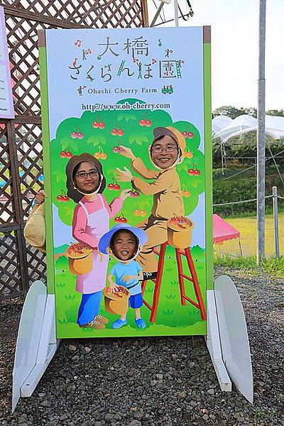 20150727金山湖、山部自然公園太陽的里、起司工房、果子工房、採櫻桃-092.JPG