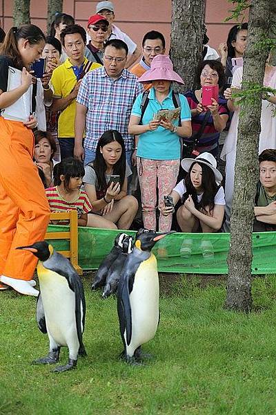 20150731洞爺湖、登別伊達時代村、登別海洋公園尼克斯、地獄谷、大湯沼、閻魔堂-074.JPG