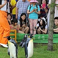 20150731洞爺湖、登別伊達時代村、登別海洋公園尼克斯、地獄谷、大湯沼、閻魔堂-074.JPG