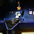 20150731洞爺湖、登別伊達時代村、登別海洋公園尼克斯、地獄谷、大湯沼、閻魔堂-086.JPG