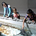 20150731洞爺湖、登別伊達時代村、登別海洋公園尼克斯、地獄谷、大湯沼、閻魔堂-088.JPG