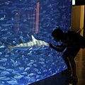 20150731洞爺湖、登別伊達時代村、登別海洋公園尼克斯、地獄谷、大湯沼、閻魔堂-116.JPG