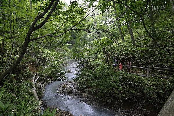 20150731洞爺湖、登別伊達時代村、登別海洋公園尼克斯、地獄谷、大湯沼、閻魔堂-136.JPG