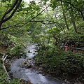 20150731洞爺湖、登別伊達時代村、登別海洋公園尼克斯、地獄谷、大湯沼、閻魔堂-136.JPG