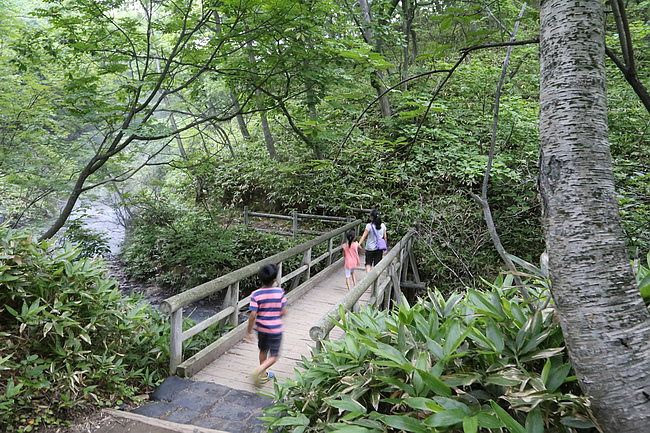 20150731洞爺湖、登別伊達時代村、登別海洋公園尼克斯、地獄谷、大湯沼、閻魔堂-135.JPG