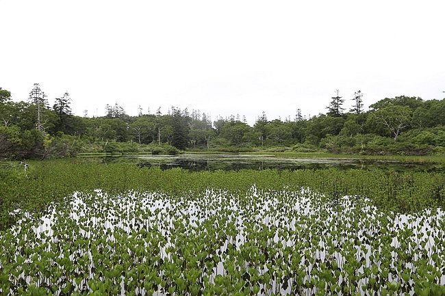 北海道20150801二世谷、神仙沼、京極町、綺羅乃湯-54.JPG